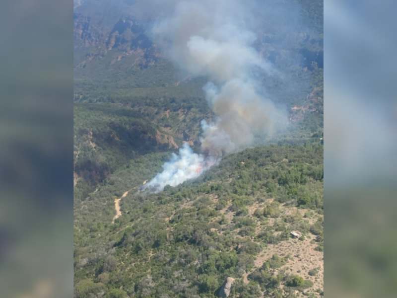 Incendio afecta a la Reserva Nacional Río de Los Cipreses en Machalí