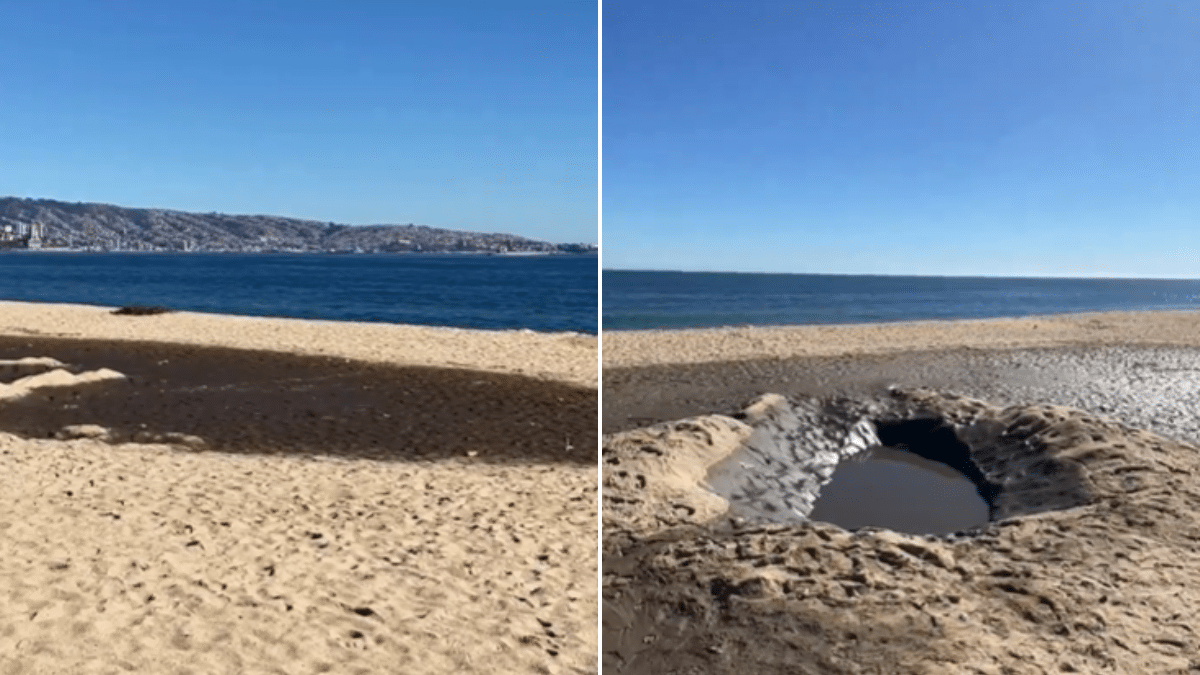 Aparecen manchas negras en Playa Los Marineros de Viña del Mar.
